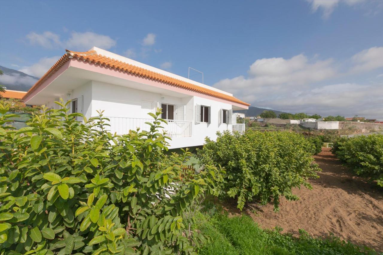 Clemente House,Private Pool Villa Arafo Exterior photo